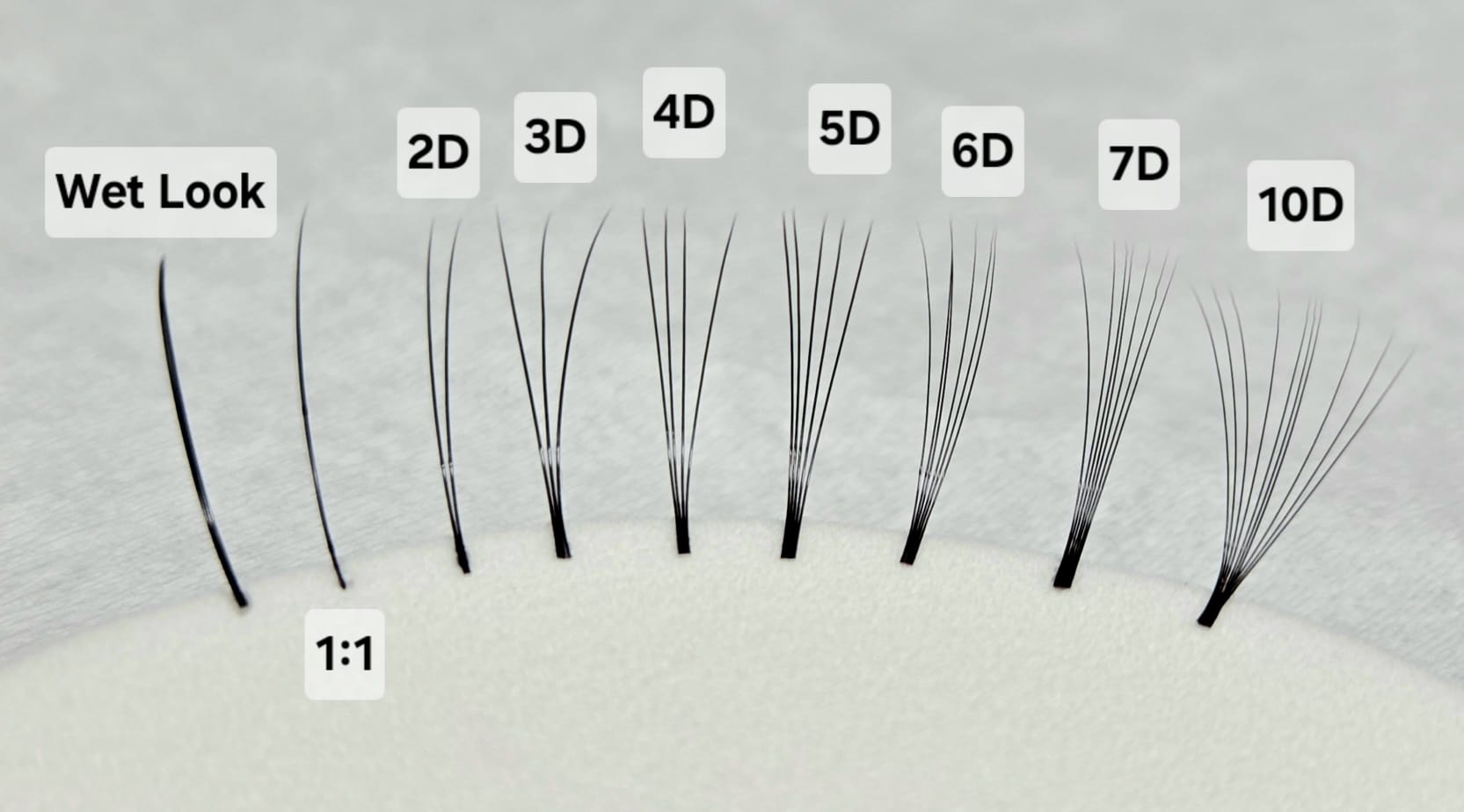 Claudia-Art-Wimpernverlängerung-Pic11 claudia_art_brows_lashes_faecher_wetlook_megavolumen